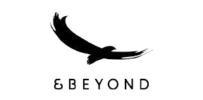 and-beyond-logo